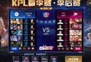 王者爆料kpl皮肤最新,神秘英雄华丽变身，全新特效惊艳亮相！